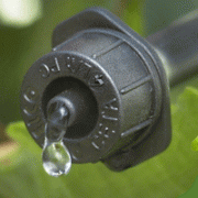 Vòi tưới Antelco Ceta PC 4L/H