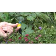 Vòi tưới Antelco Micro Spray 90 - Vari Jet 90 không chân đế 21mm