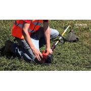 Máy cắt cỏ chạy xăng Hitachi CG31EBS