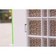 Máy làm mát FujiE AC-601 xanh lá