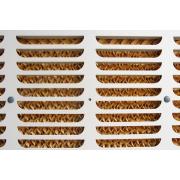 Máy làm mát FujiE AC-50