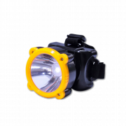 Đèn pin đội đầu Điện Quang ĐQ PFL11 R BLY 