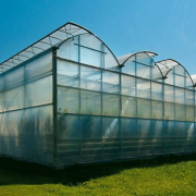 Màng nhà kính Nhựa Rạng Đông khổ 2,2m