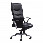 Ghế xoay lưng cao The City EVO 01