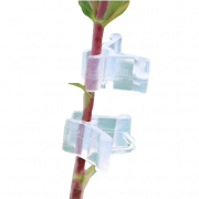 Kẹp nhựa cây giống, cà chua, hoa (gói 20 cái)