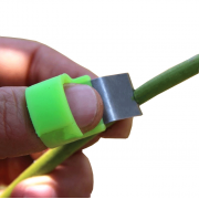 Nhẫn cắt trái cây, rau củ quả