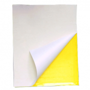 Xấp 5 miếng dán treo bẫy ruồi côn trùng 25x40cm