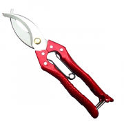 Kéo khoanh vỏ đỏ rộng 6cm lưỡi thẳng