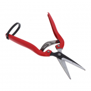 Kéo dùng cắt hoa HM056