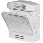 Đèn chiếu sáng sự cố Yun Yang YLE-01E