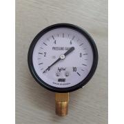 Đồng hồ áp suất WISE P110 Series dải 0-15 bar, đường kính 63 mm. 