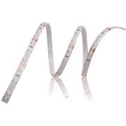 Đèn LED dây Rạng Đông 100/8W vàng