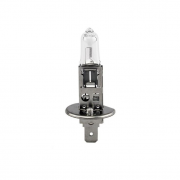 Bóng đèn ô tô Standard OSRAM H1 24V (bộ 2 bóng)