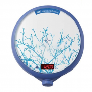 Máy khuấy từ không gia nhiệt big squid frozen IKA 3857200