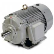 Motor cho máy rửa xe Lutian 11KW