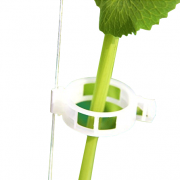 Kẹp nhựa dây leo, kẹp bonsai, kẹp nho (20 cái)